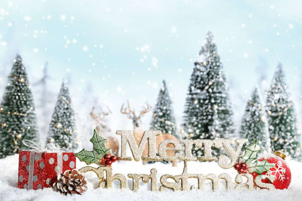 Christmas Snow Gifts Fir Tree Wallpaper