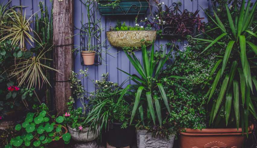 Greenhouse Flowers Garden Pots hd-flowers-pics-wallpapers-infoupdate