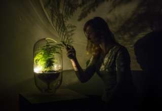 روشنایی ارگانیک؛ استارت‌آپ جدید هلندی که گیاهان را به باتری تبدیل میکند!