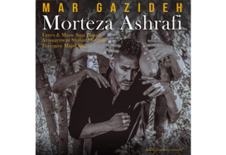 Morteza-Ashrafi-Mar-Gazideh