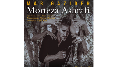 Morteza-Ashrafi-Mar-Gazideh
