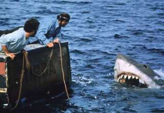 حقایق جالب فیلم Jaws - آرواره ها