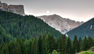 Nature Mountains Trees Sky Wallpaper