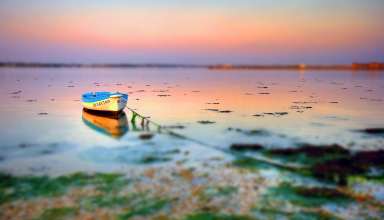 Small Boat at Shore with Tilt Shift Effect Wallpaper