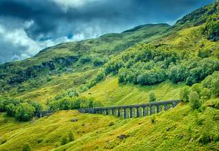 Railway Bridge Grass Trees Wallpaper