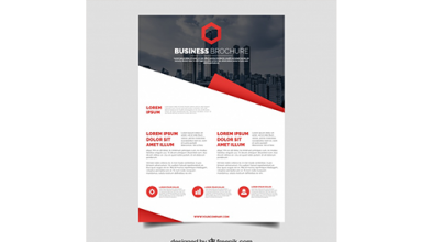 دانلود وکتور Elegant corporate brochure