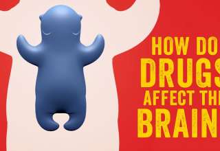 How do drugs affect the brain