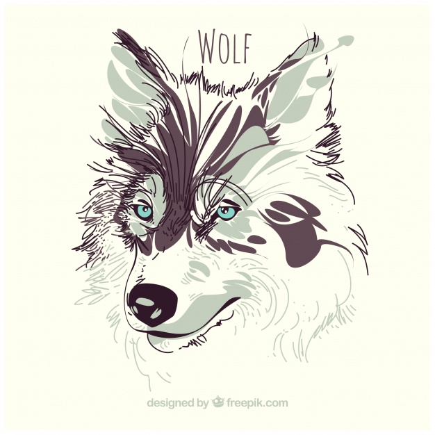 دانلود وکتور Watercolor wolf background
