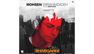 Mohsen-Ebrahimzadeh-Shabgardi