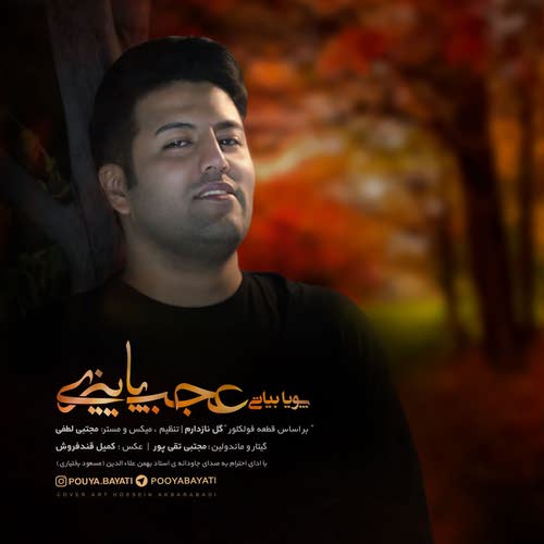 دانلود آهنگ پویا بیاتی - عجب پاییزی