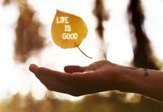 Hand Life Is Good Leaf
