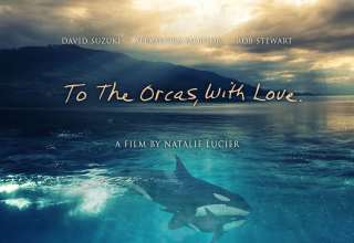 To The Orcas With Love