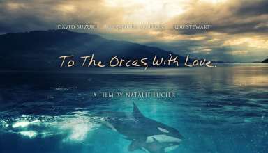 To The Orcas With Love