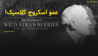 Wild Strawberries