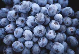 Blueberry Berries Wallpaper