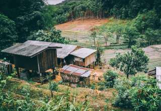 Buildings Forest Trees Wallpaper