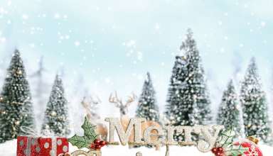 Christmas Snow Gifts Fir Tree Wallpaper