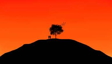 Couple Tree Sky Wallpaper