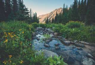 Creek Flowers Mountains Grass Wallpaper