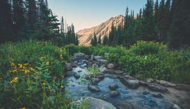 Creek Flowers Mountains Grass Wallpaper