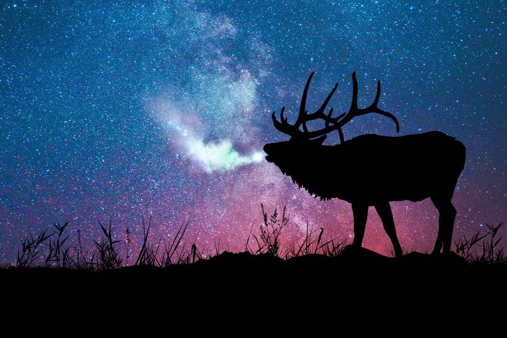 Deer Silhouette Galaxy Stars Wallpaper