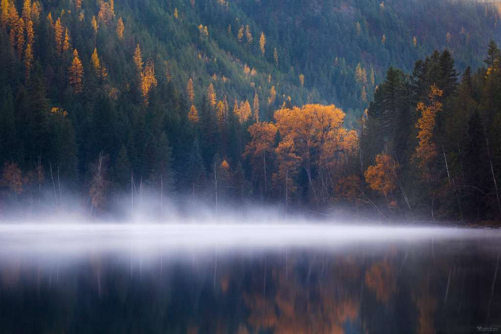 Echo Lake Forest Trees Fog Columbia Autumn 5k Wallpaper