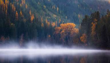 Echo Lake Forest Trees Fog Columbia Autumn 5k Wallpaper