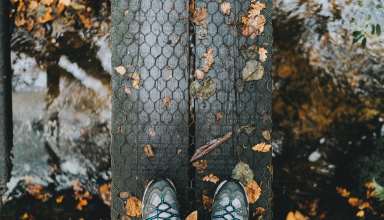 Feet Autumn Foliage Rain Wallpaper