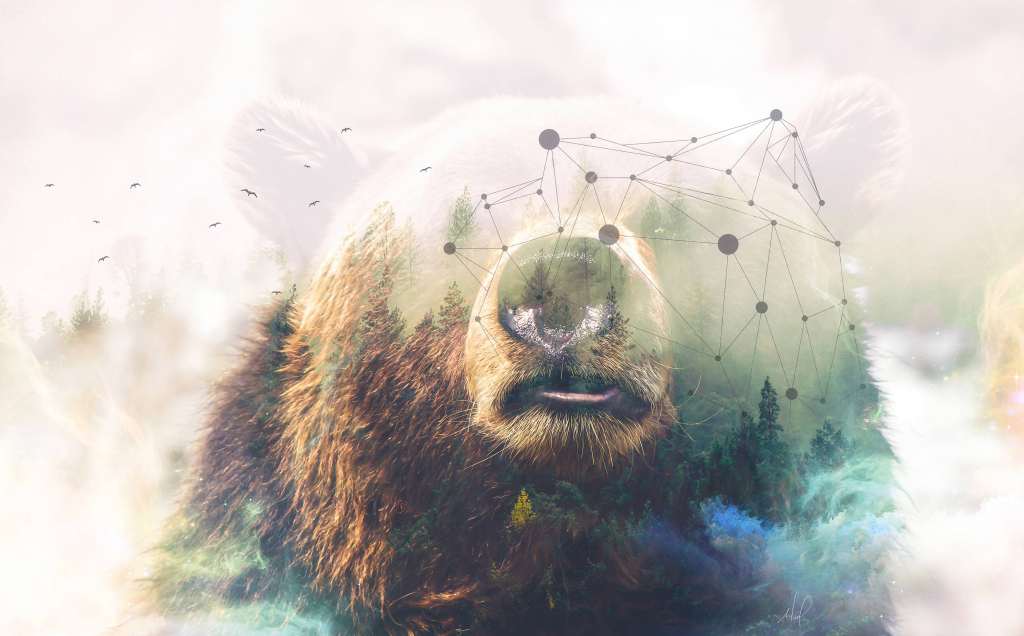 Grizzly Bear Forest Photoshop 4k Wallpaper