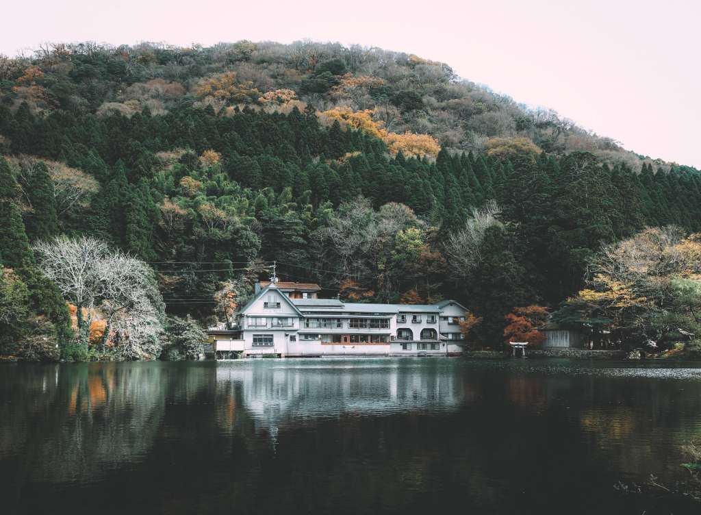 House Lake Shore Hill Trees Wallpaper