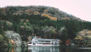 House Lake Shore Hill Trees Wallpaper