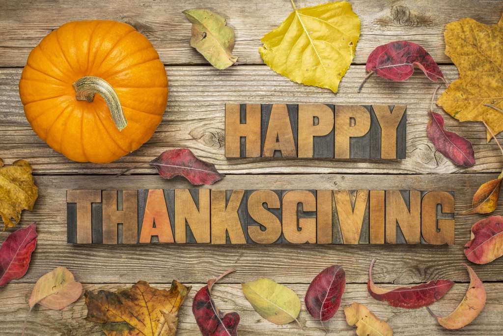 Thanksgiving Day Pumpkin Leaves 5k Wallpaper