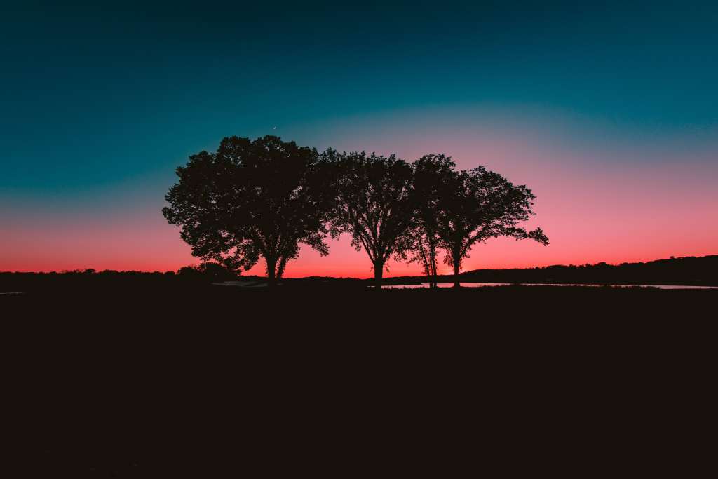 Trees Sunset Horizon Wallpaper