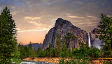 Yosemite Forest 8k Wallpaper