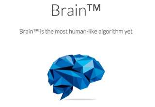 Brain