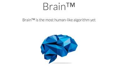 Brain