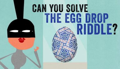 دانستنی‌ها: شما می‌توانید معمای سقوط تخم مرغ را حل کنید؟