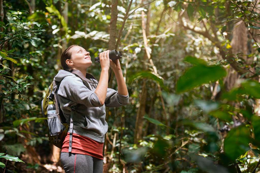 Hiker watching through binoculars wild birds in the tropical jungle