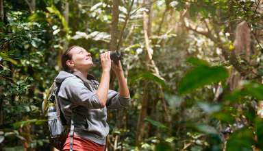 Hiker watching through binoculars wild birds in the tropical jungle