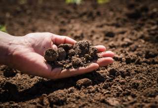 Soil, cultivated dirt, earth, ground, brown land background