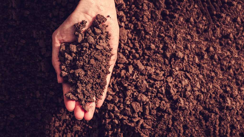 Soil in hand, palm, cultivated dirt, earth, ground, brown land background