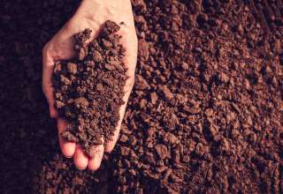 Soil in hand, palm, cultivated dirt, earth, ground, brown land background