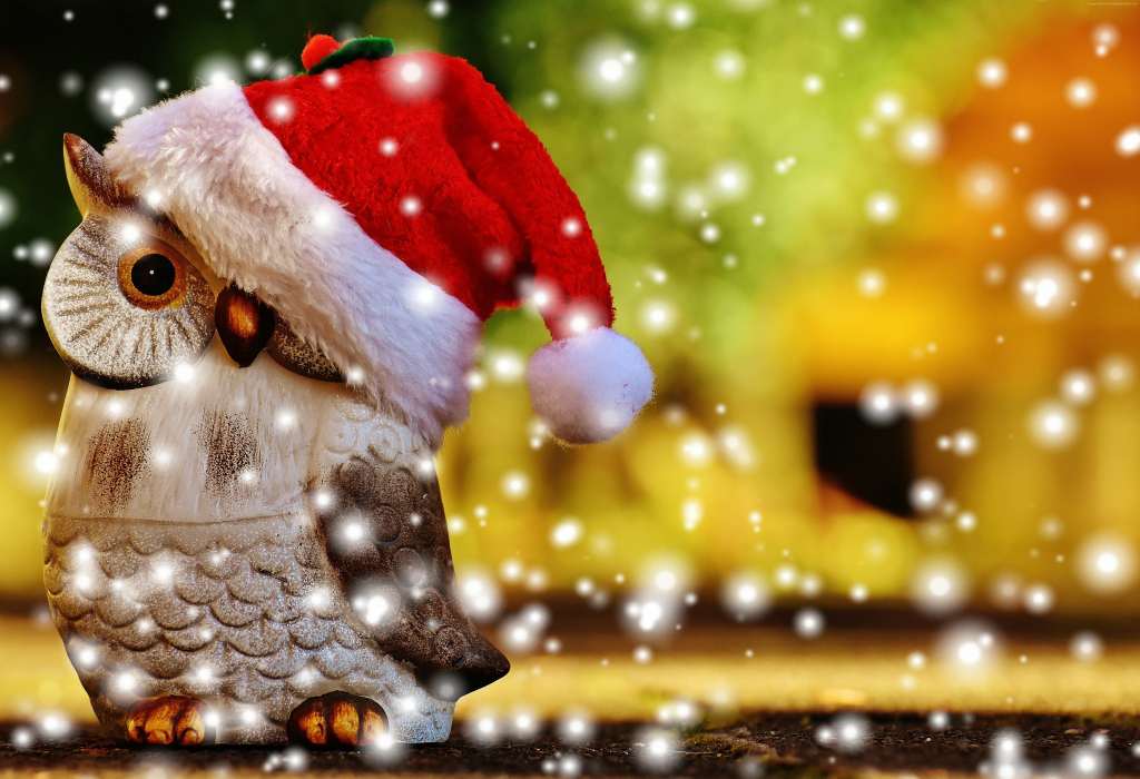 Christmas New Year Owl Wallpaper