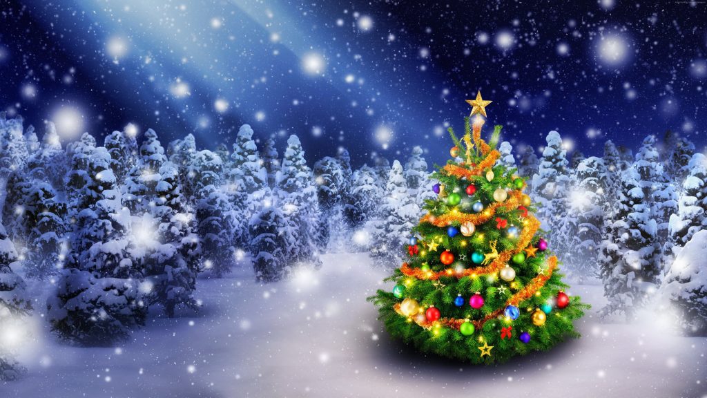 Christmas New Year Snow Fir Tree 5k Wallpaper