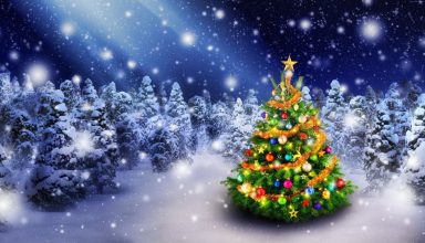 Christmas New Year Snow Fir Tree 5k Wallpaper