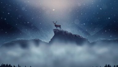 Christmas Deer Snowfall Wallpaper