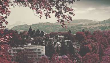 City Buildings Surrounded Maroon Leaved Forest During Daytime