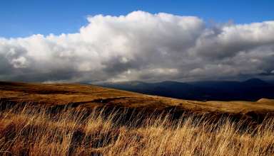 Field Grass Sky Clouds Wallpaper