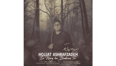 hojat-ashrafzadeh-in-roozha-bedoune-to