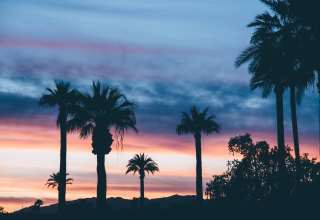 Palms Sunset Sky Wallpaper